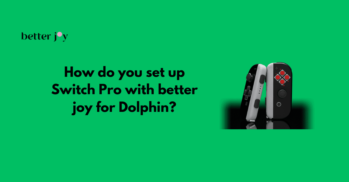 Set Up Switch Pro with BetterJoy for Dolphin
